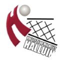 Logo Halluin